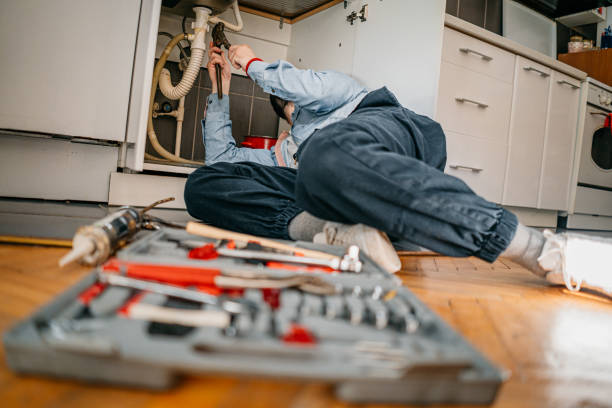 Best Clogged Drain Plumber  in La Harpe, IL